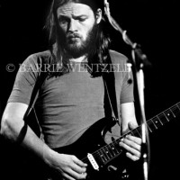David Gilmour 1974